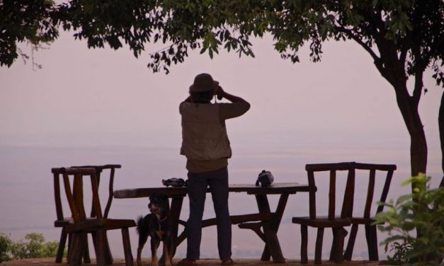 Kenia Nummero Quattro